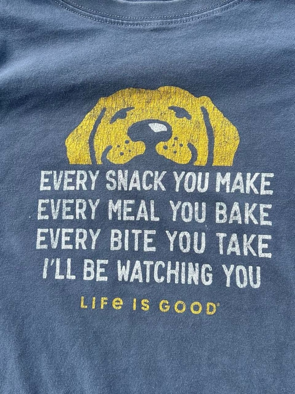 Life Is Good Blue Tee with Yellow Dog Graphic